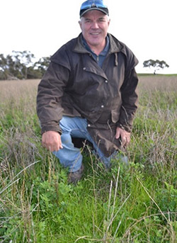 Paul Bartlett in a pasture at Tolcairn