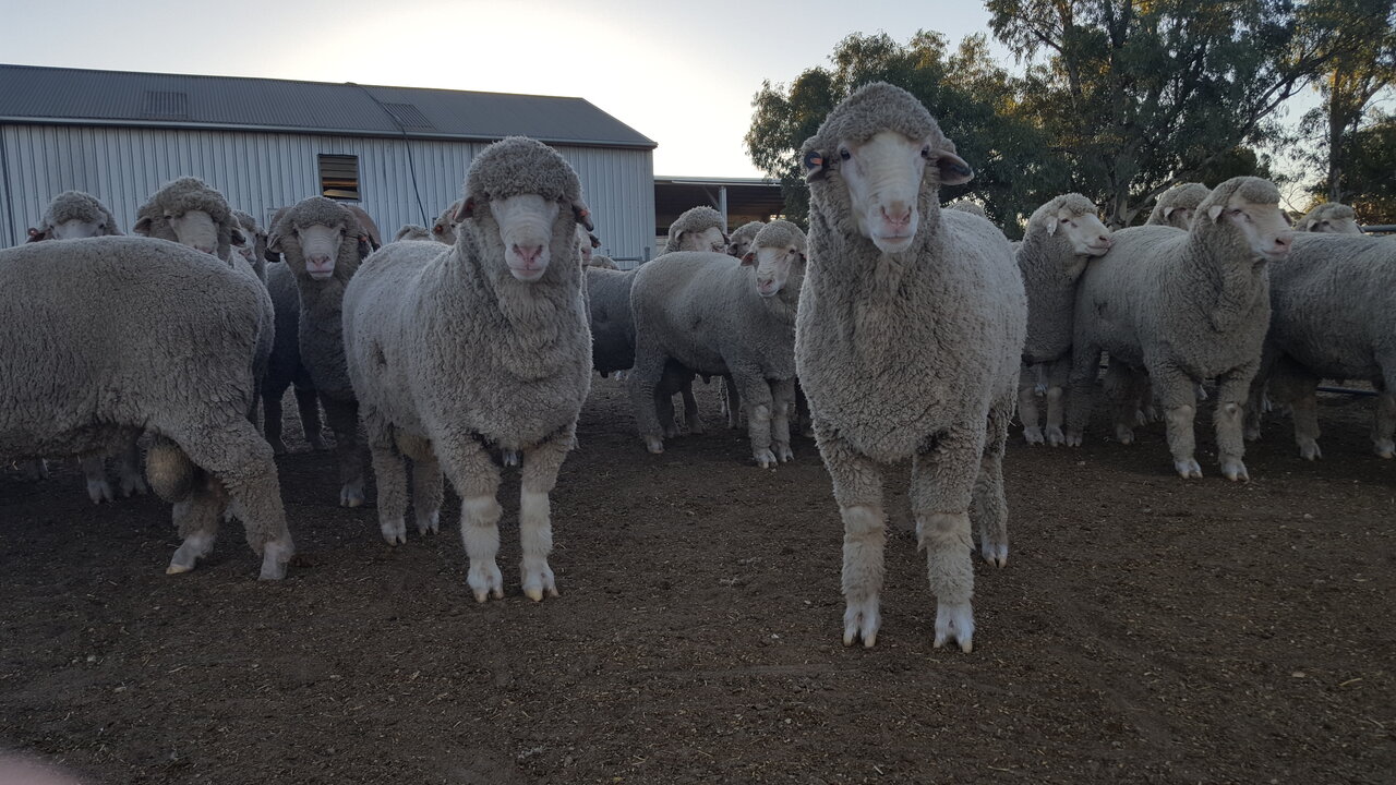 Webinar - Getting rams ready for joining