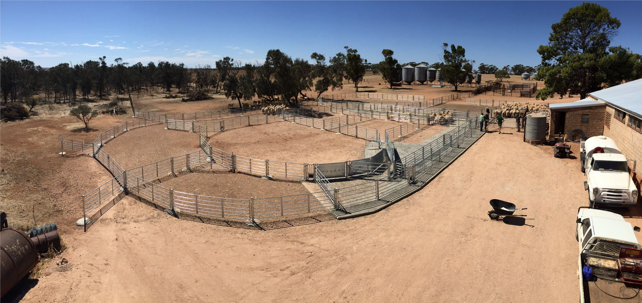 Shearing Shed Design
